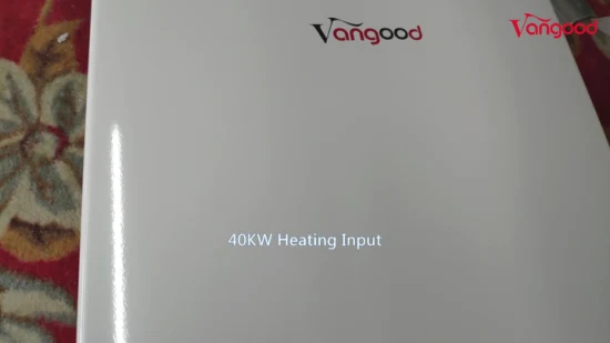Máquina de aquecimento doméstico 20L Caldeira de gêiser instantânea Chuveiro Aquecedor de água quente a gás natural Propano